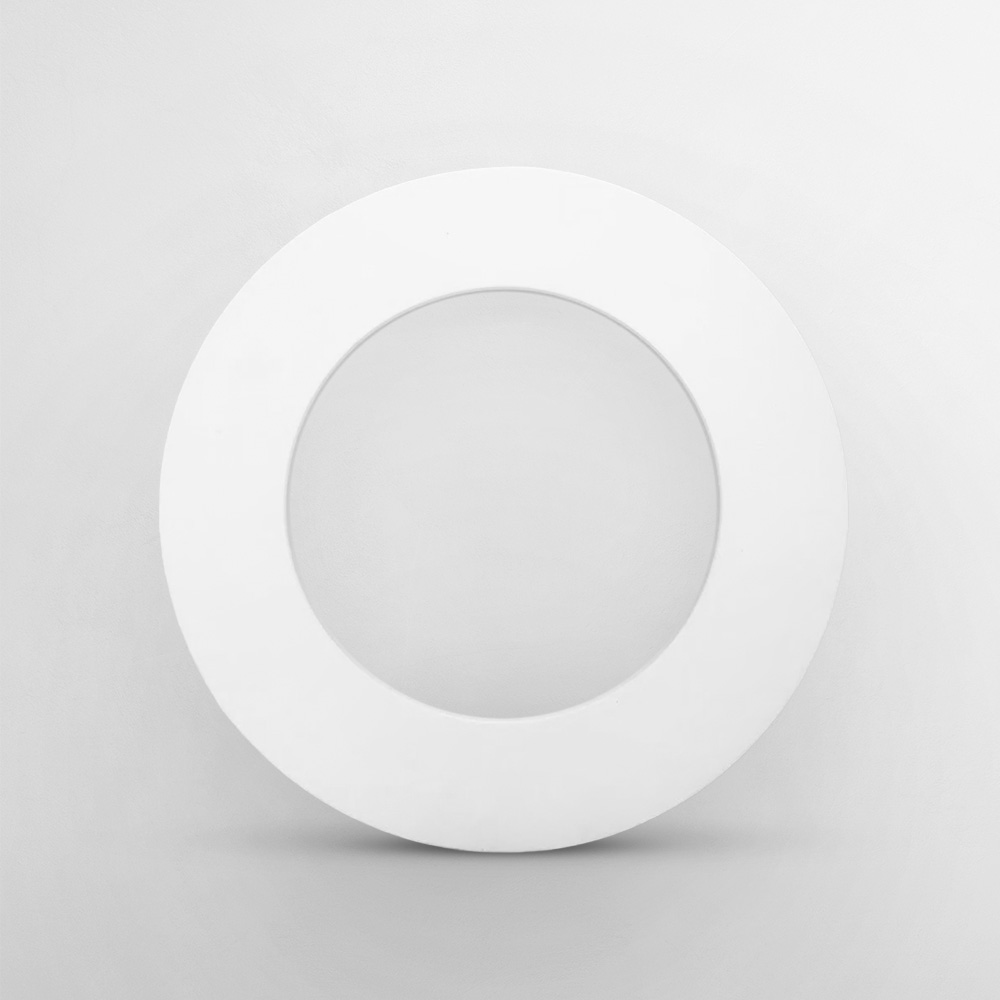 PTFE Ring Face Gasket